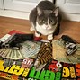 Image result for Gangsta Cat Meme