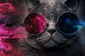 Image result for Awesome Galaxy Cat