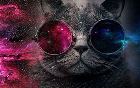 Image result for Rainbow Galaxy Background Cat