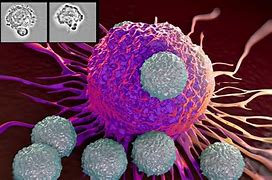 Image result for Virus Attack Cell