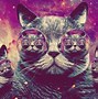 Image result for Trippy Cat Hi Res HD Wallpaper