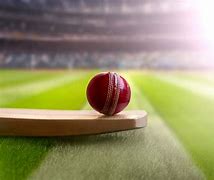 Image result for Cricket and Ruun Around
