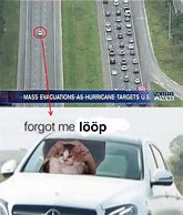 Image result for Fruit Loop Cat Meme