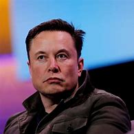Image result for Elon Musk Party