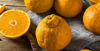 Image result for Sumo Mandarin Orange
