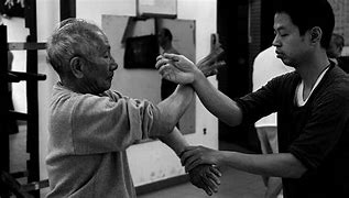 Image result for Teach Yourself Wing Chun