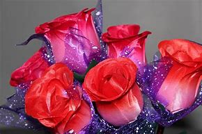 Image result for White Glitter Roses