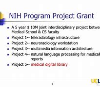 Image result for NIH Program Project Grant
