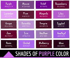 Image result for RBG Purple Color