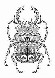 Image result for Adult Coloring Pages Insects