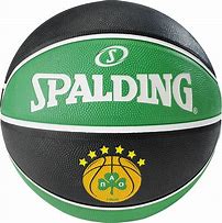 Image result for Spalding Basketball