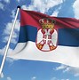 Image result for Southern Serbia Flag
