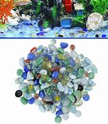 Image result for Pebbles for Aquarium