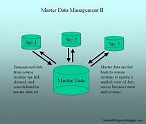 Image result for Master Data Management Architecture