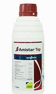 Image result for amsitinar