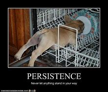 Image result for Funny Persistent Meme
