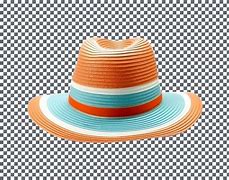 Image result for Brown Hat No Background