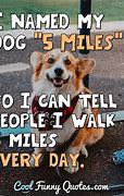 Image result for Cool Animal Quotes