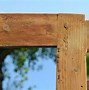 Image result for Wood Mirror
