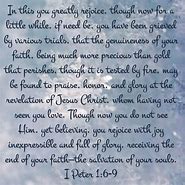Image result for 1 Peter 1:6-9