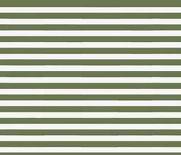 Image result for Olive Green Stripes