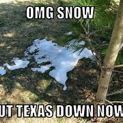 Image result for Funny Texas Snow Memes