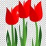 Image result for Mother Day Flowers Clip Art Free