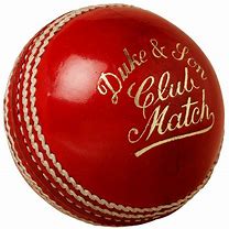 Image result for Cricket Ball Serving Bowls