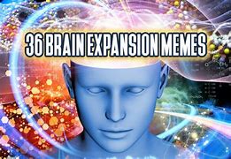 Image result for Best Expanding Brain Meme