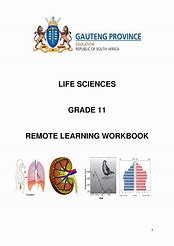 Image result for Life Science Grade 11 Study Guide PDF