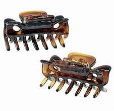 Image result for French Hair Clips Claw