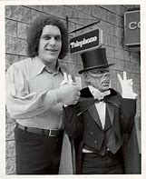 Image result for Andre the Giant Face