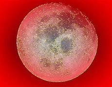 Image result for Galaxy Moon Lamp GIF