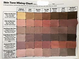 Image result for Skin Tone Color Wheel