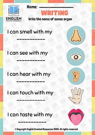 Image result for Body Parts and Senses Worksheet