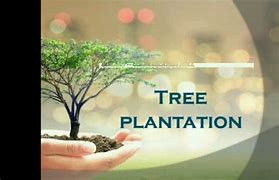 Image result for Tree-Planting Background for Presentation