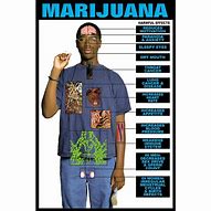 Image result for Positive Side Effects of Marijuana