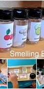 Image result for 5 Senses Apple Tasring Snack