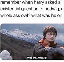Image result for Hedwig Meme