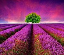 Image result for Samsung A11 Nature Wallpaper