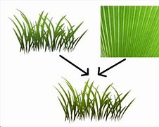 Image result for 2D Grass Texture