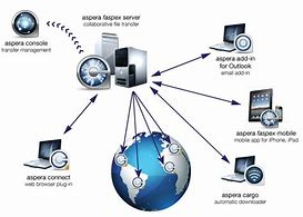 Image result for Network Operating System