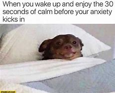 Image result for Memes That Cure My Anxiety