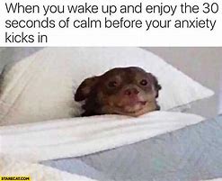 Image result for Cute Anxiety Memes