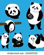 Image result for Giant Panda Life Cycle