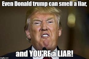 Image result for Jokes About Liars