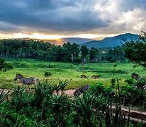 Image result for Swaziland Nature