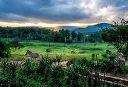 Image result for Swaziland Images