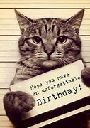Image result for Happy Birthday Cat Meme Funny