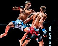 Image result for Secrets of Mixed Martial Arts Fighters